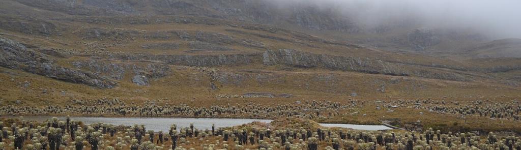 Paramo santurban dia nublado colombia