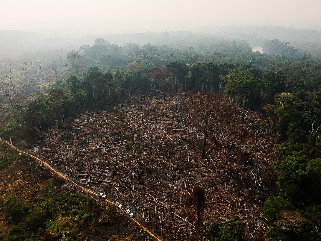 Deforestamiento amazonia