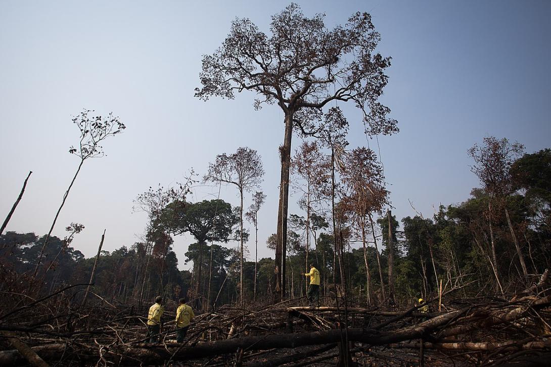 Deforestamiento amazonia 