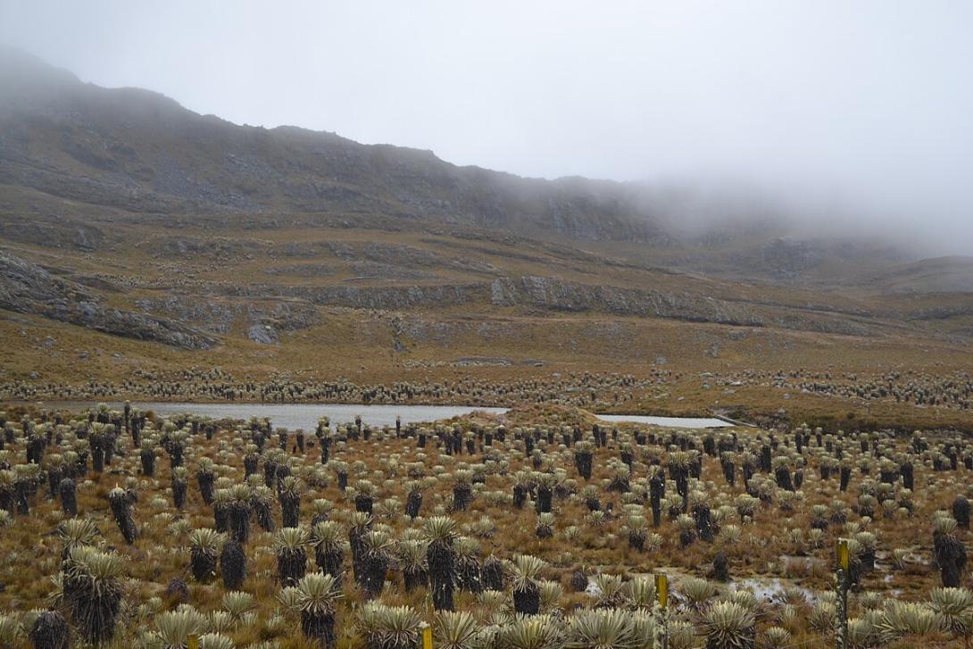 Paramo santurban dia nublado colombia